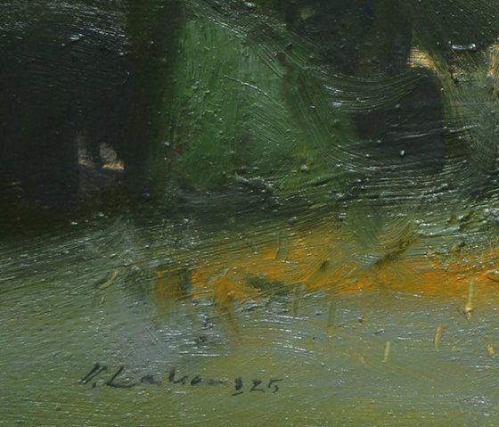 Summer Reflections