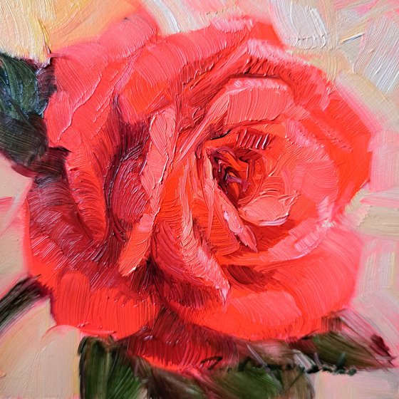 Red rose