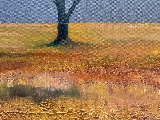 'Acacia Tree in a surreal landscape'. Oil Painting on canvas.