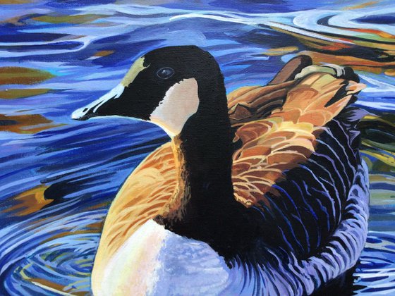 Canada Goose On The Serpentine