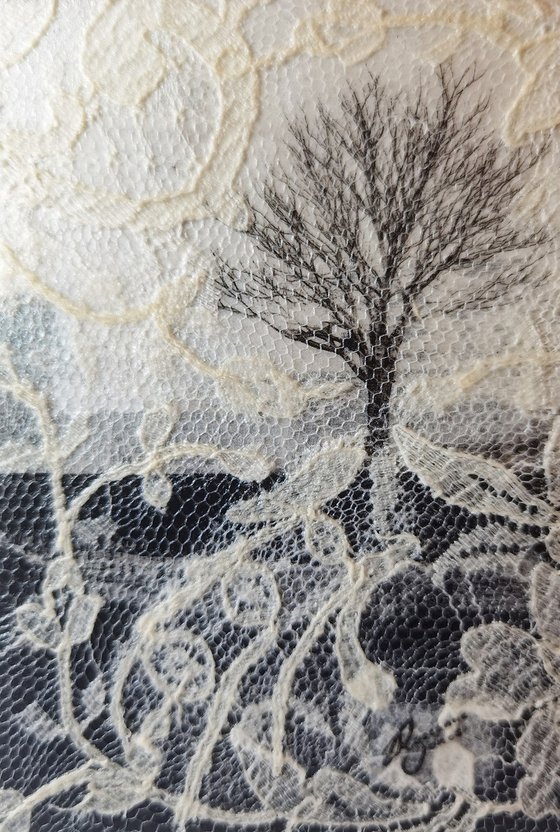 Veil of Memory