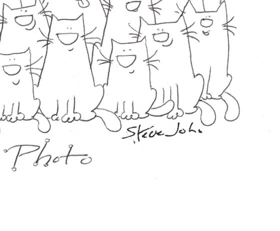 Cat School Photo. Cartoon