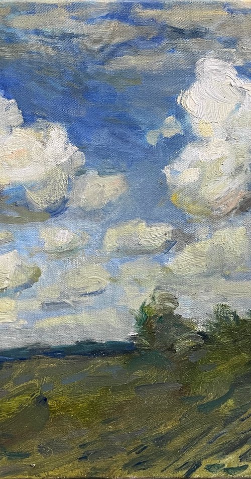 Cloudy day by Bohdan Dobrivskyi