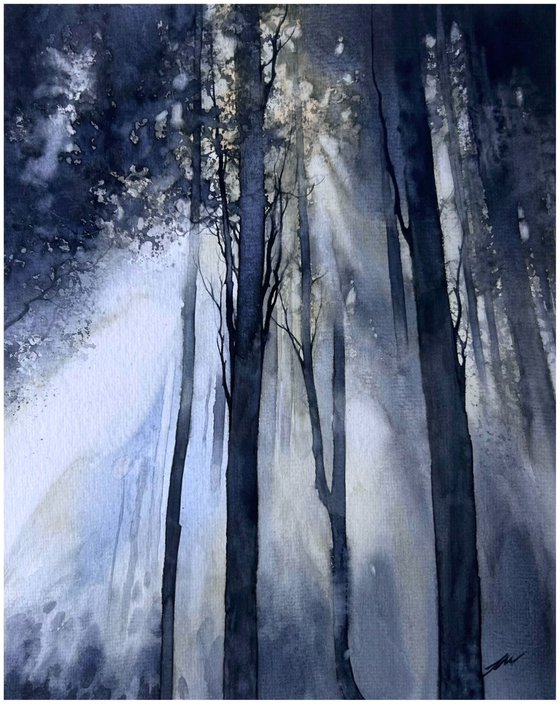 Moonlit Forest