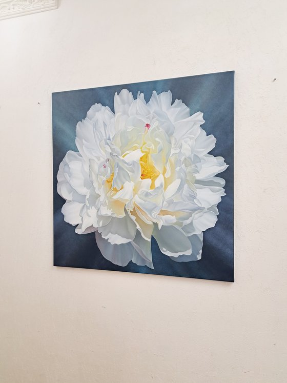 Snow-white peony