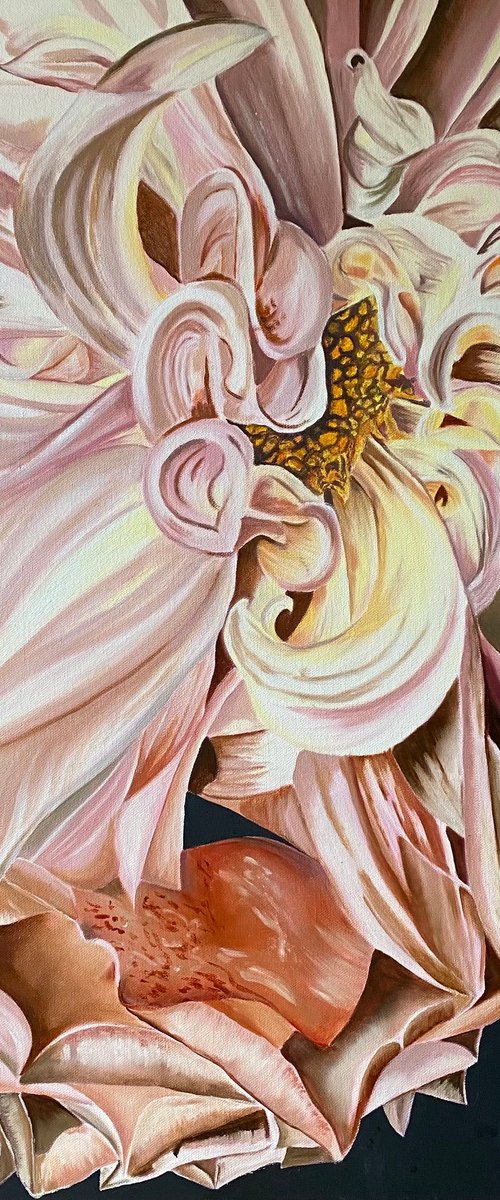 Dahlia Delight by Wendy Peters