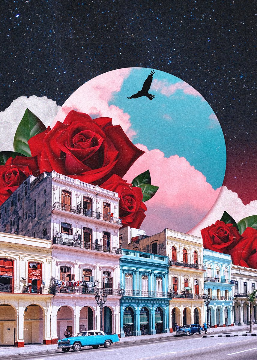 Cuba&Roses by Darius Comi