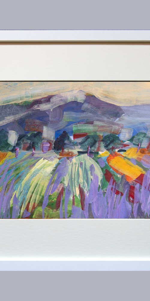 Lavender Fields by Elizabeth Anne Fox