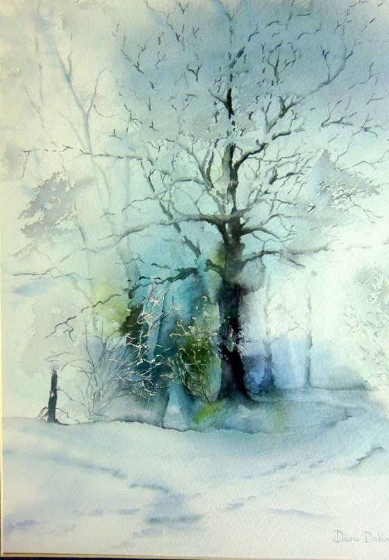 Oak tree in the snow