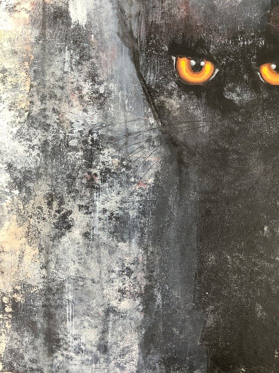 BLACK CAT
