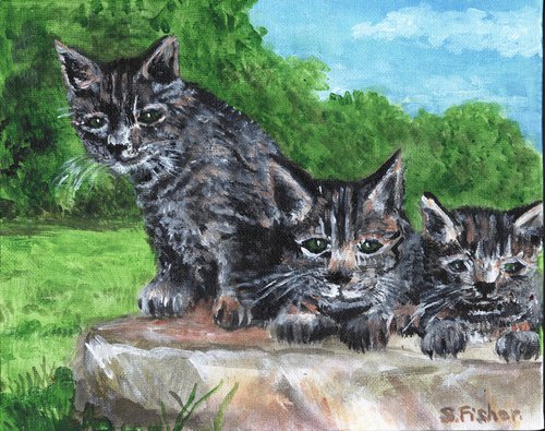 curious kittens by Sandra Fisher