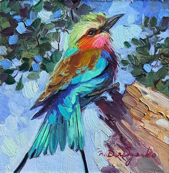 Bird painting original 5x5 inch, Lilac-breasted Roller, Small bird art in blue frame