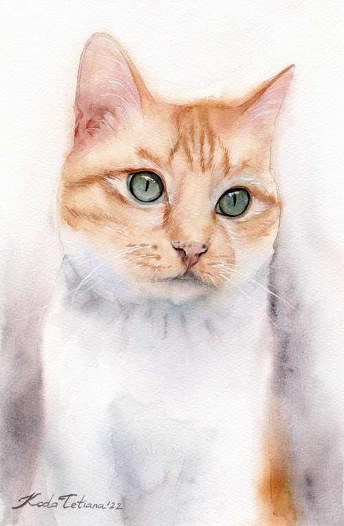 Cat portrait by Tetiana Koda