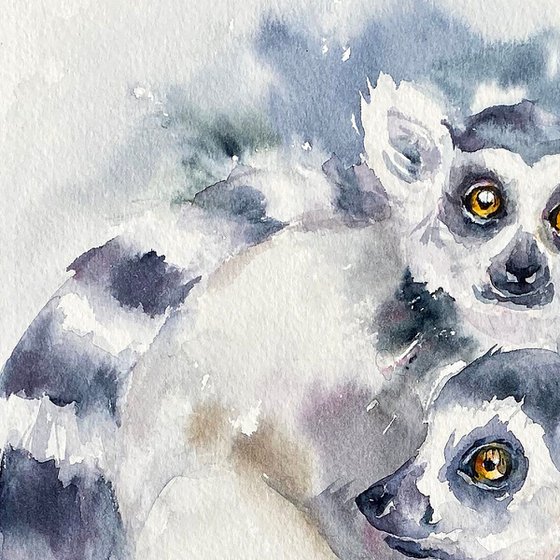 Ring-tailed Pals