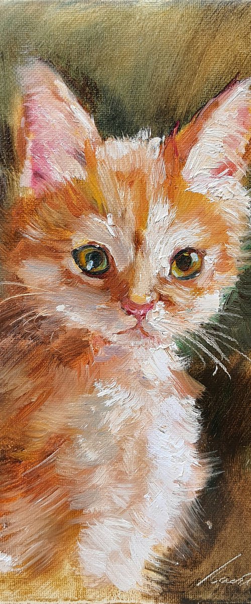 Red cat by Olha Laptieva