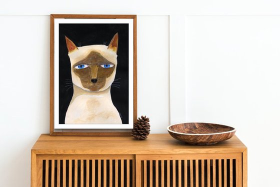 Siamese cat for cat lover