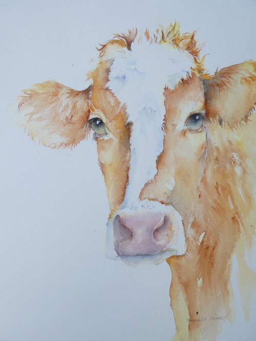 Friendly Cow by Seonaid Parnell