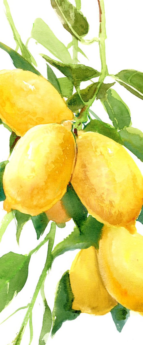 Lemons on the Tree by Suren Nersisyan