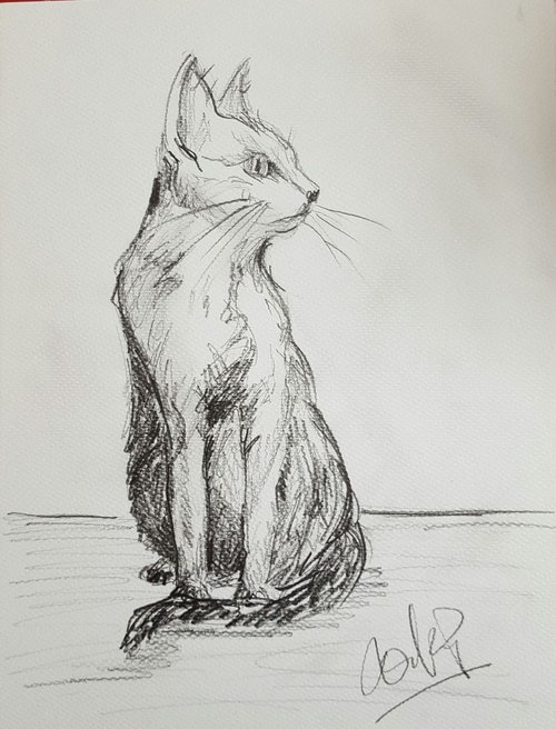 The Elegant cat sees all by Niki Purcell