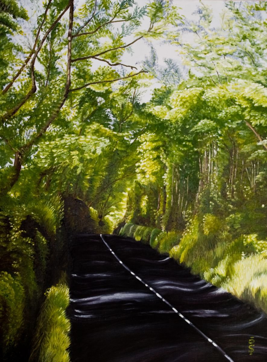 The road through Glenastar by Pauline Sharp