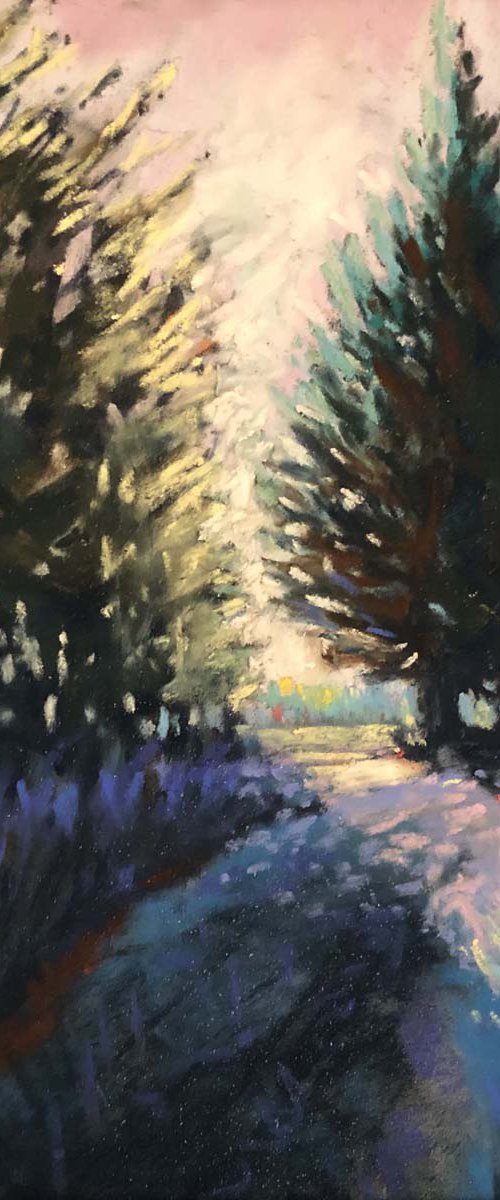 Light through the trees by Amy Leckie