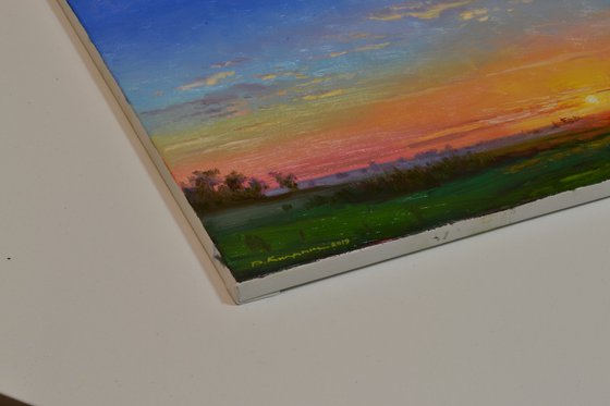 Dawn in the meadow