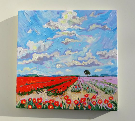 April Tulips - Lincolnshire Landscape