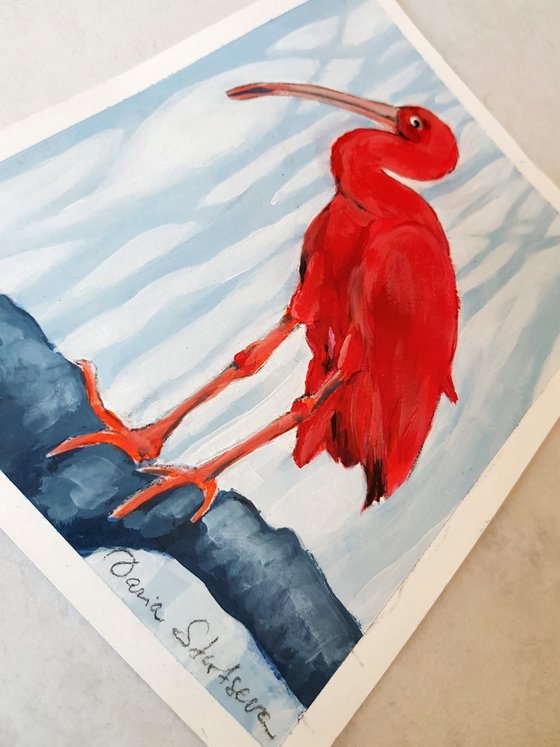 Scarlet Ibis in a Forest