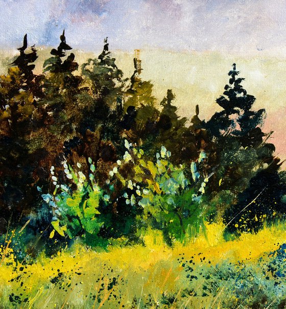 Meadow in my countryside