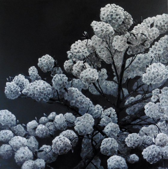 April Blossoms