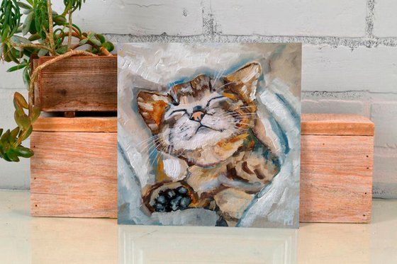 Sleeping Kitten Artwork Cat Oil Painting Funny Pet Wall Art