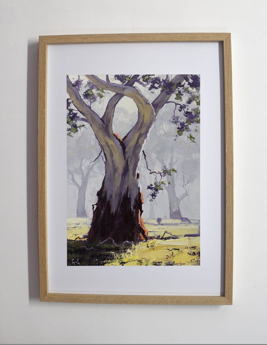 Australian Bush Landscape With Gum Tree By Graham Gercken, 16 X 12, Artwork For Sale On Artfinder