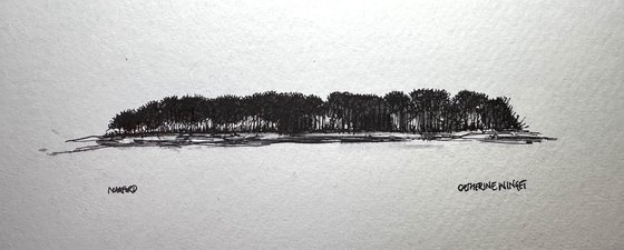 Trees in Pen and Ink - Norfolk Landscape