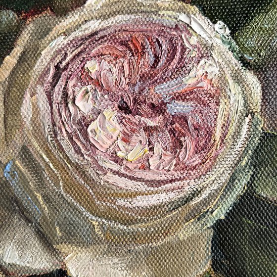 Pink roses still life