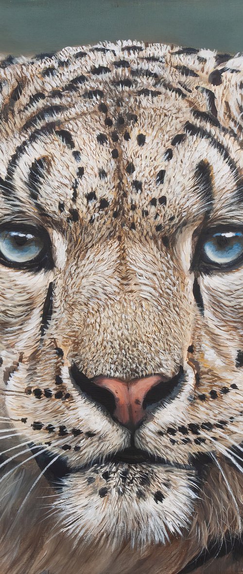 Eyes of the Snow Leopard by Norma Beatriz Zaro