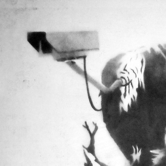 VULTURE SURVEILLANCE (URBOX).