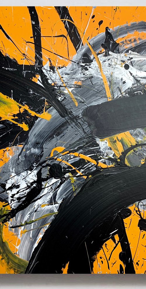 Black 66x by Rosi Roys