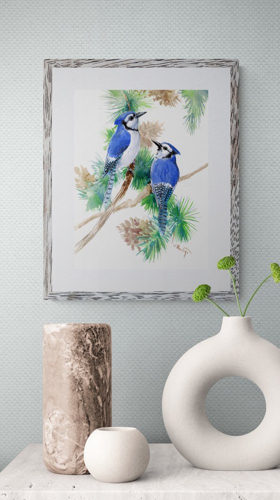 Blue Jay Bird