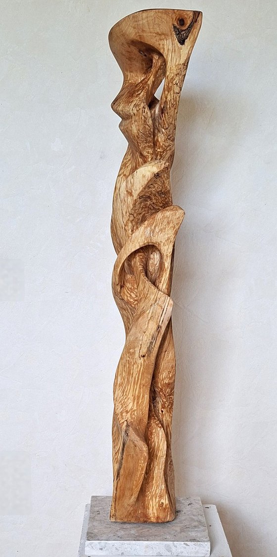 Birch bird