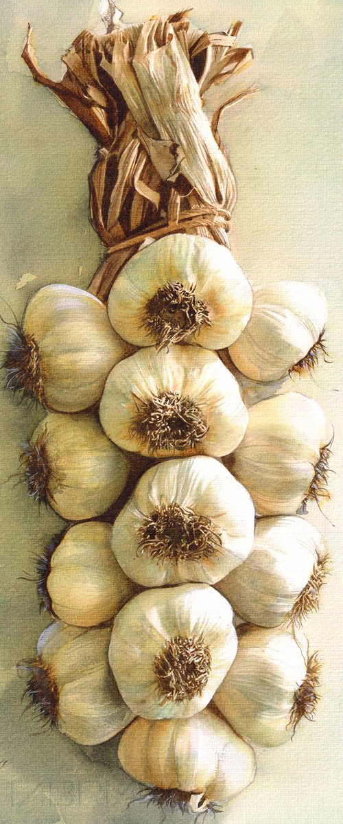 Old Garlic by REME Jr.