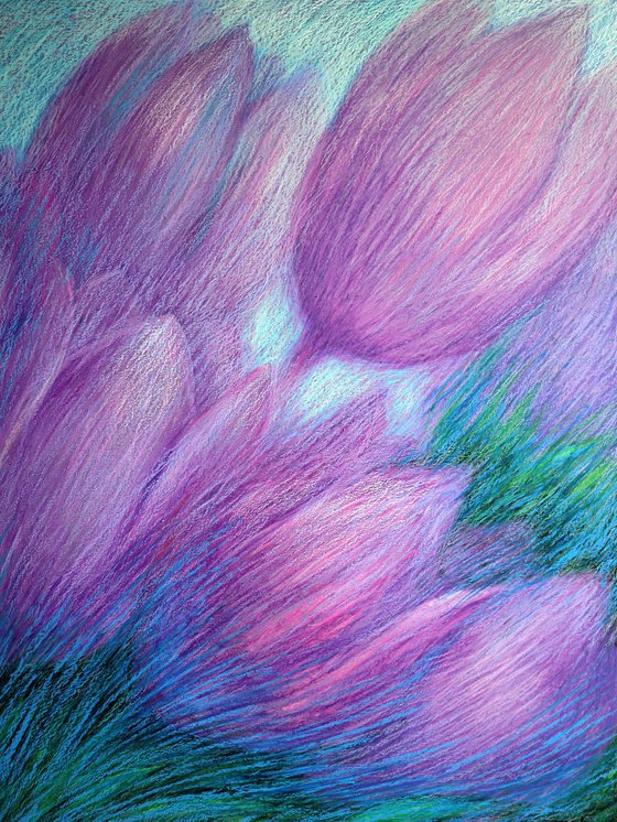 Violet Tulips