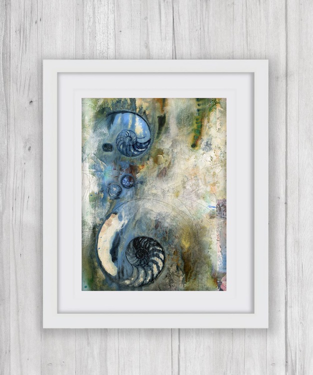 Searching For Tranquility 2 Abstract Nautilus Artfinder