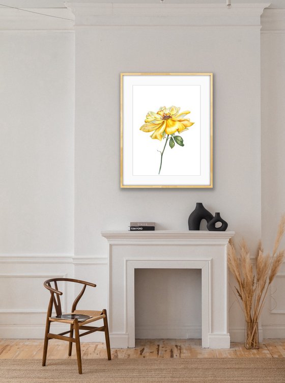 Greetings to the sun