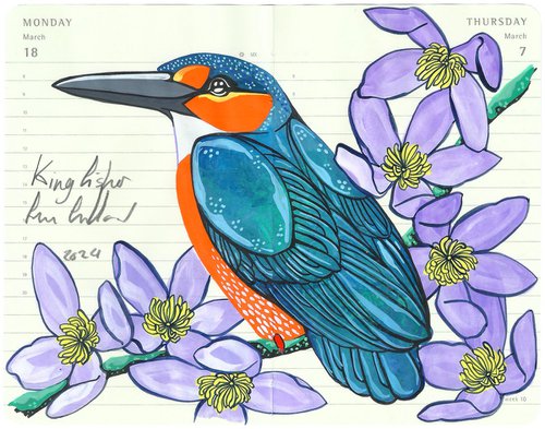 Birds of Europe: Kingfisher by Fran Giffard