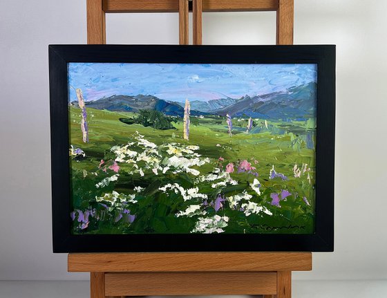 Flowering Mountain Fields