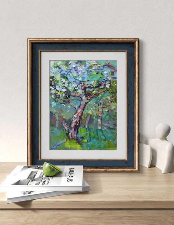 Apple tree blossom