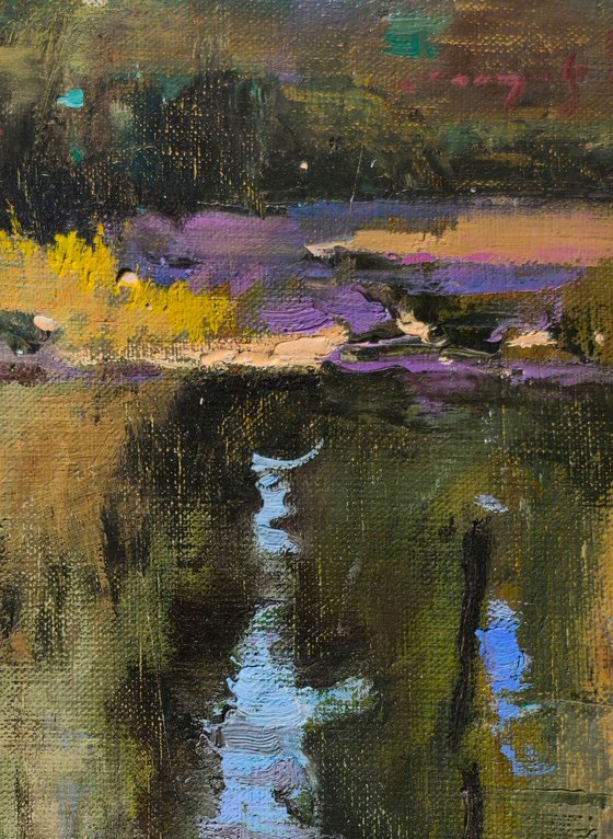 Echoes of Water