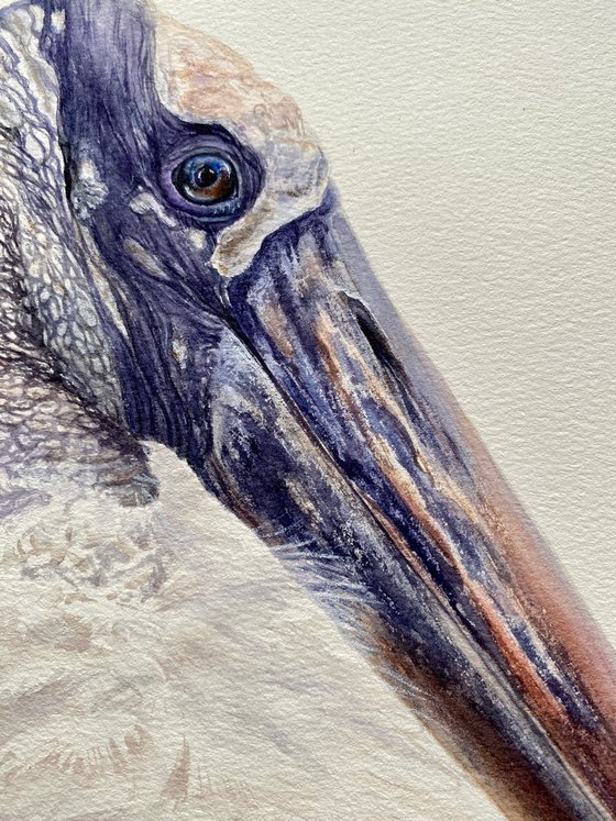 Wood Stork Watercolor Portrait
