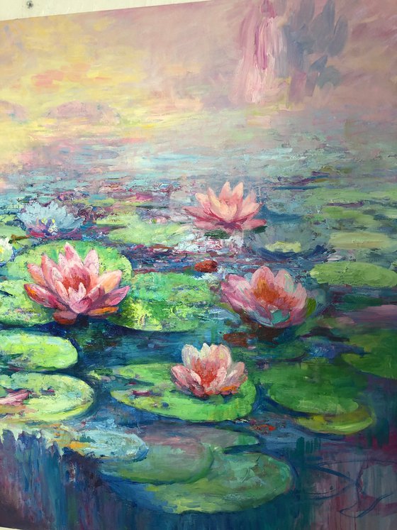 Water lilies.