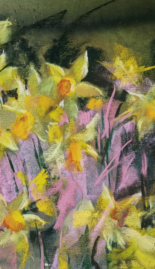 Garden Memories: Daffodils by Silja Salmistu